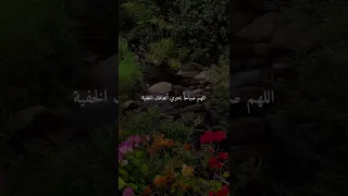 حالات واتس اب عن الصباح صباح الخير 
