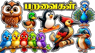 பறவைகளின் பெயர்கள் தமிழ் | Birds Names in Tamil | தமிழ் பறவைகள் | Kids Learning | @PRINIT1419
