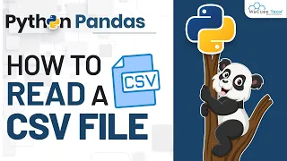 Read Python CSV files - with PANDAS Complete PandasTutorial