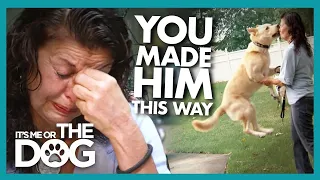 Victoria Confronts An Owner About Her Dog’s Troubling Behavior  | It's Me or The Dog
