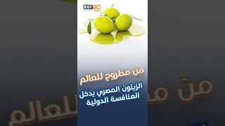 من مطروح للعالم الزيتون المصري يدخل المنافسة الدولية 
