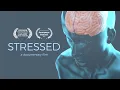 Download Lagu Stressed - A Documentary Film | 4K OFFICIAL