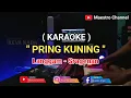 Download Lagu PRING KUNING-  KARAOKE Langgam  Tes langgam sampling korg pa600
