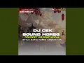 Download Lagu Dj Cek Sound horeg (Remix)