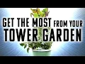 5 Tower Garden Mistakes With Helpful Tips To Avoid Making Them Master Your Hydroponic Tower Today