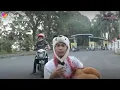 Lagu asu @