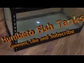 USING A HEAVY DUTY RACK 40 gallon breeder tank stand