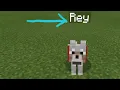 How to NAME ANIMALS in Minecraft