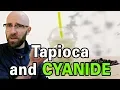 Tapioca and Cyanide