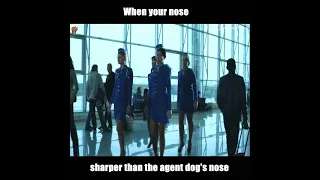 the sniffer action movie