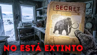 El hallazgo de un mamut lanudo congelado en la Antártida podría afectarnos a todos