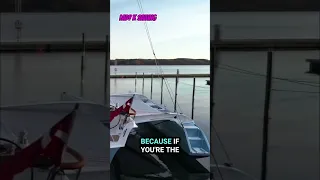 Dragonfly! 🐉 Experience the Thrill 😁of Trimaran Sailing! ⛵️#dragonfly #sailing #ytshorts #trimaran