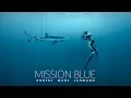 Lagu Das ist mit euren 100.000€ von #haibockangriff passiert | Mission Blue Folge 01