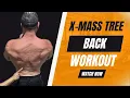 UNLOCK THE CHRISTMAS TREE BACK TOP EXERCISES FOR LOWER BACK DEFINITION