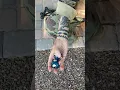 1 Min Baoding Chinese Hand Therapy Balls Instruction