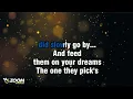 Crosby, Stills, Nash & Young - Teach Your Children (Karaoke Version) with Lyrics On Screen