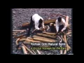 ナチュラル・ソニック / NATURAL SONIC