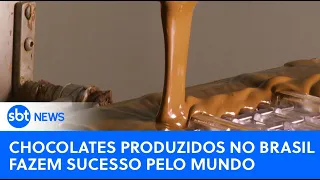 Agro: Chocolates produzidos no Brasil fazem sucesso pelo mundo | #SBTNewsnaTV (23/07/23)