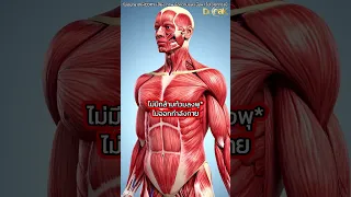 วิตามิน D3 ขาดส่งผลต่อภูมิคุ้มกันและมะเร็งอย่างไร