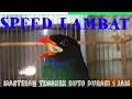 Download Lagu MASTERAN TENGKEK BUTO SPEED LAMBAT DURASI 1 JAM