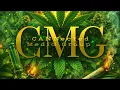 We Review 3 THCA SMALL BUDS Strains Gary Poppins Blueberry Muffinz Toad Kandy A Munchie Minute