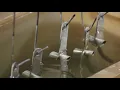 Galber - Procesos