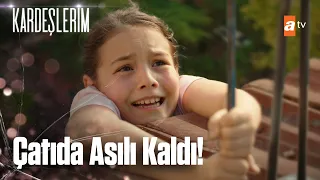 emelin hayat tehlikede karde lerim 19 b l m