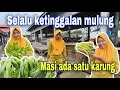 Download Lagu MASI ADA SATU KARUNG TERTINGGAL⁉️ ALHAMDULILLAH REJEKI SAYUR SAWI PAHIT