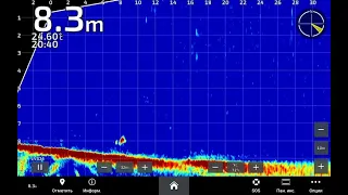 Garmin Panoptix Livescope LVS34 A Game-Changer for Zander Fishing