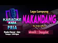 Lagu Nakandang Karaoke Nada Pria / Cowok | Voc. \u0026 Cipt. Arifin M | Musik Dangdut | ​