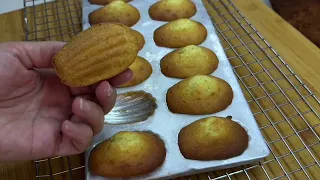المادلين الفرنسية الأصلية 🇫🇷 هشة وخفيفة | أسهل وصفة ناجحة من أول مرة