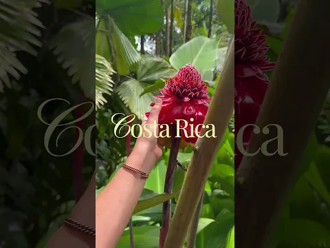 Welcome To...🌺