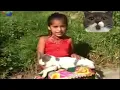 ay mi gatito miau miau 2004 vs 2012 vs 2025 | MEOW MONTAGE