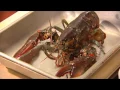 Chef Andrew King prepares lobster risotto at da Maurizio Restaurant
