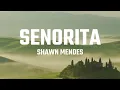 Download Lagu Señorita - Shawn Mendes [Lyrics] | Ed Sheeran, One Direction, Ali Gatie