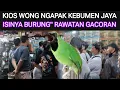 Download Lagu ✅INI BARU KIOS BURUNG\