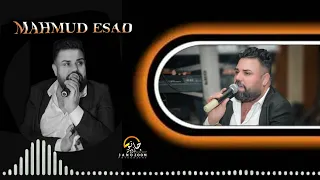 Group Janozoom Photography اغنية سماعي للفنان محمود اسعد 2023 