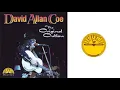 David Allan Coe - Fuzzy Was an Outlaw