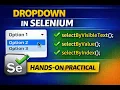 Handle Dropdown in Selenium Java Select Class Hands-On Short Practical