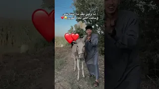 نور بعد ما اختارتنى السعودية الكويت الامارات الاردن قطر  نور بعد ما اختارتنى السعودية الكويت الامارات الاردن قطر