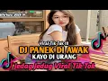 Download Lagu DJ PANEK DIAWAK KAYO DIURANG BY ELART REMIX JEDAG JEDUG MENGKANE VIRAL TIKTOK TERBARU 2025