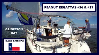 2020 Peanut Regattas #36 & #37 Highlights – Sailboat Racing on Galveston Bay