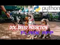 Dog Prediction Flask App using Python - Keras