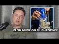Elon Musk On Taking Mushrooms