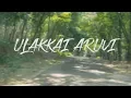 Download Lagu KANYAKUMARI'S Beauty- ULAKKAI ARUVI Water Falls