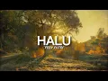 Download Lagu HALU (LIRIK) ~ FEBY PUTRI