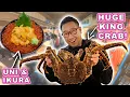 HUGE King Crab Seafood Bowls in Otaru Hokkaido Japan Best Places to Eat and Explore