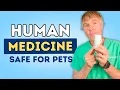 Vet-Approved 5 OTC Meds That Can Save Your Pet s Day