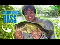 Download Lagu Aesthetic Angler: Full Bass Fishing Day