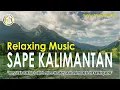 Download Lagu Sape Kalimantan - Music Relaxing, Sleep Music
